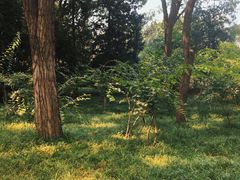-玲珑塔公园