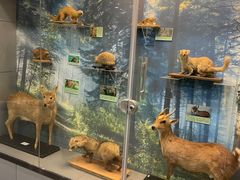 -下渚湖国家湿地公园科普馆