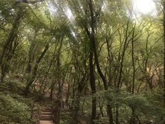 -北京上方山国家森林公园
