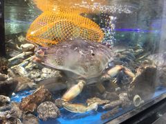 -盒马鲜生(岭南新世界店)