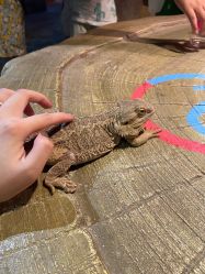 -酷嗒动物文化乐园(cutezoo西溪乐天城店)