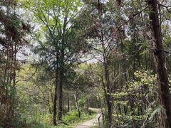 -青龙山国家森林公园