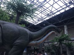 -国家自然博物馆