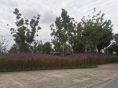 -上海山野camping·户外天幕烧烤·团建拓展营地