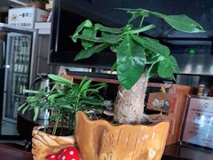 -大吉鲜鱼料理自慢(维也纳大厦店)