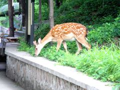 -燕塞湖鸟语林景区