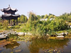 -水西公园