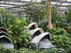 -南宫五洲植物乐园