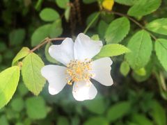 -南京金牛湖风景区