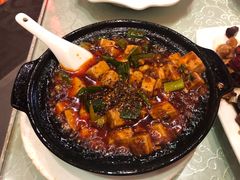 -陈麻婆豆腐总店