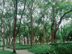 -玲珑塔公园