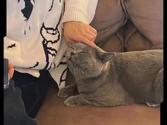 -Me Coffee下午茶艺术空间