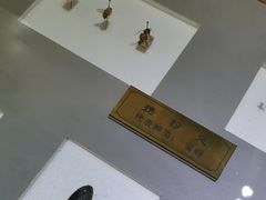 -上海昆虫博物馆