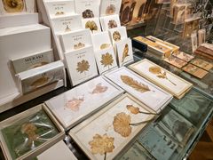 -良友书坊(安徽路店)