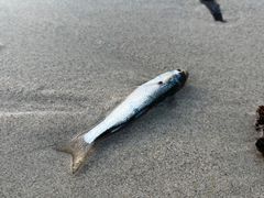 -三亚太阳湾柏悦酒店
