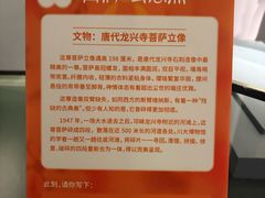 -四川大学博物馆