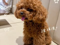 -霸王茶姬(上海龙湖云廊天街店)