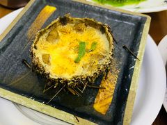 -海胆小馆(东北水饺·春柳店)