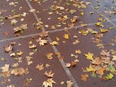 android_upload_pic-陕西师范大学(雁塔校区)
