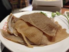 -季季红火锅(动壹店)