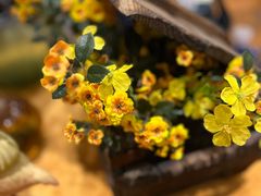 -甜阿姨·天台花园私房菜(万松园店)