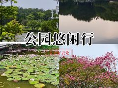 -东莞植物园