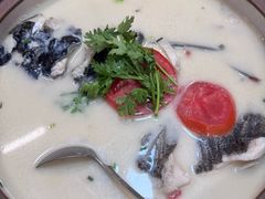 -全乐鱼馆·淳牌有机鱼直营店