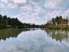 -上海长兴岛郊野公园