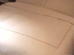 -深圳星河丽思卡尔顿酒店