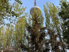 -龙塔