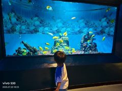 -海合安成都极地海洋公园