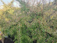 -魔方公寓(碧云国际店)