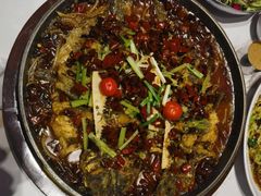 -老板恋上鱼(恒隆广场店)