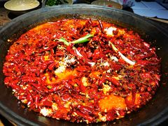 -四小区火锅·巷子里的重庆火锅(花照壁店)