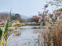 -南山风景名胜区