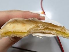 -鹏欣水游城