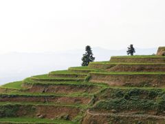 -紫鹊界梯田景区
