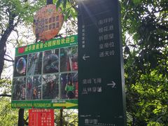 -壹华里市集