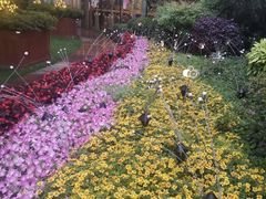 -花园5號餐厅