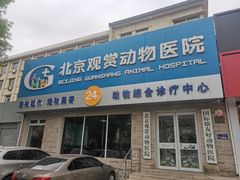-北京观赏动物医院·24小时大型综合·猫专科·异宠专科