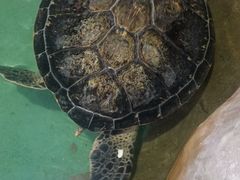 -重庆欢乐海底世界
