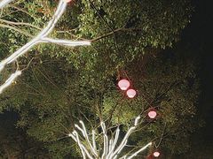 -李小龙乐园(顺德均安店)