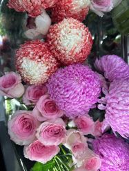 -尊尚柏丽美容SPA