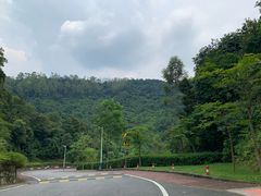 -火炉山森林公园