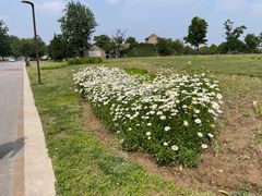 -汉长安城未央宫国家考古遗址公园