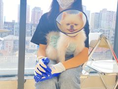 -怪兽屋·羊驼·猫咖·狗咖(俊华广场店)