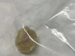-北京派仕佳德动物医院·超导核磁·CT·神经科·骨科·内外科·急重症管理中心