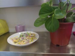 点心-日寸形象护肤养生