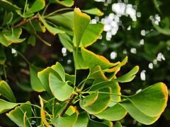 -青州市云门山风景区