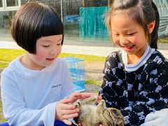 -硅谷蒙学幼儿园